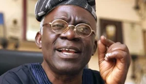 Femi-Falana-860x496.jpg