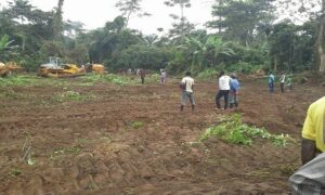 original_Proposed-Ekiti-Airport-Land-Clearing